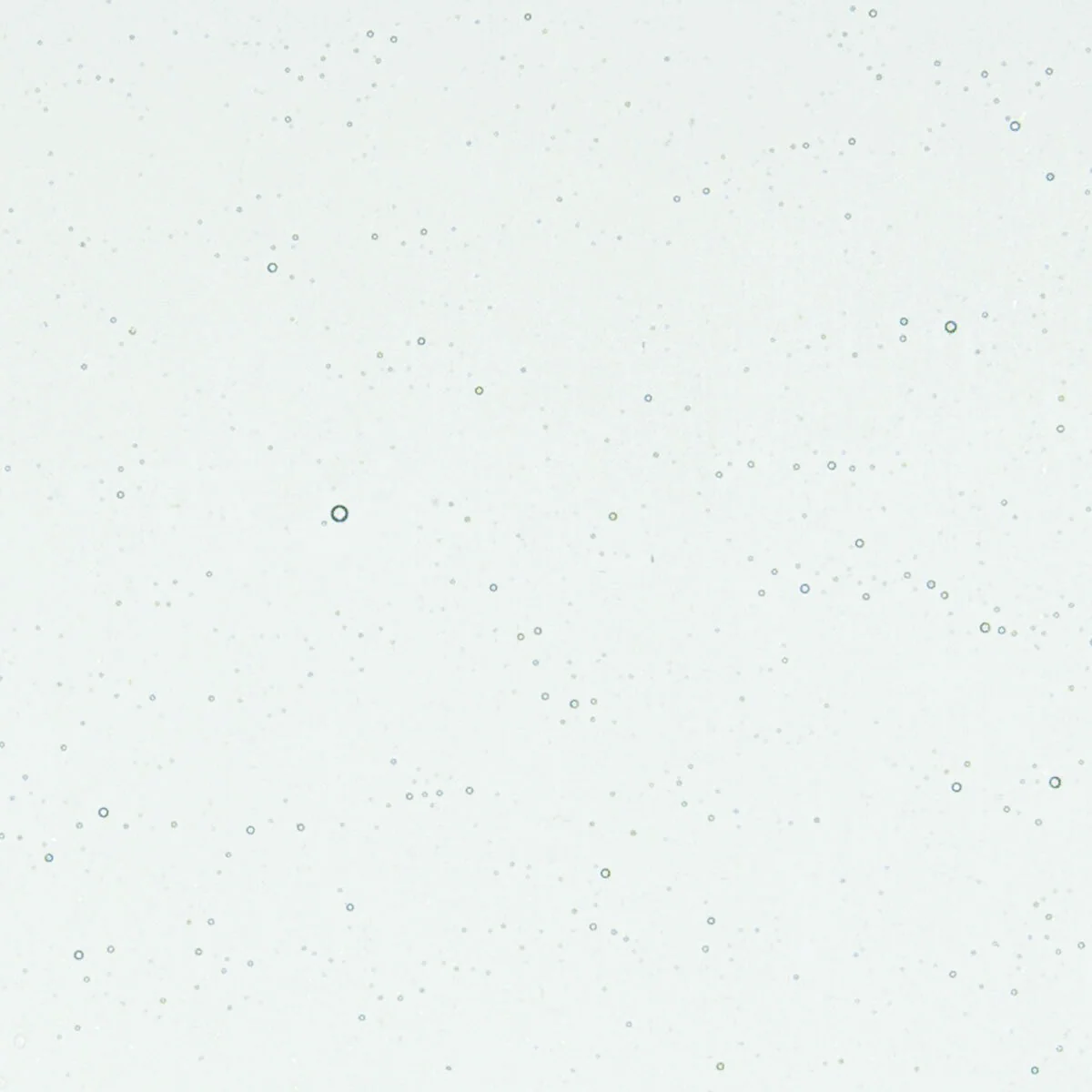 Aqua Blue Tint, 3 mm - Image 2