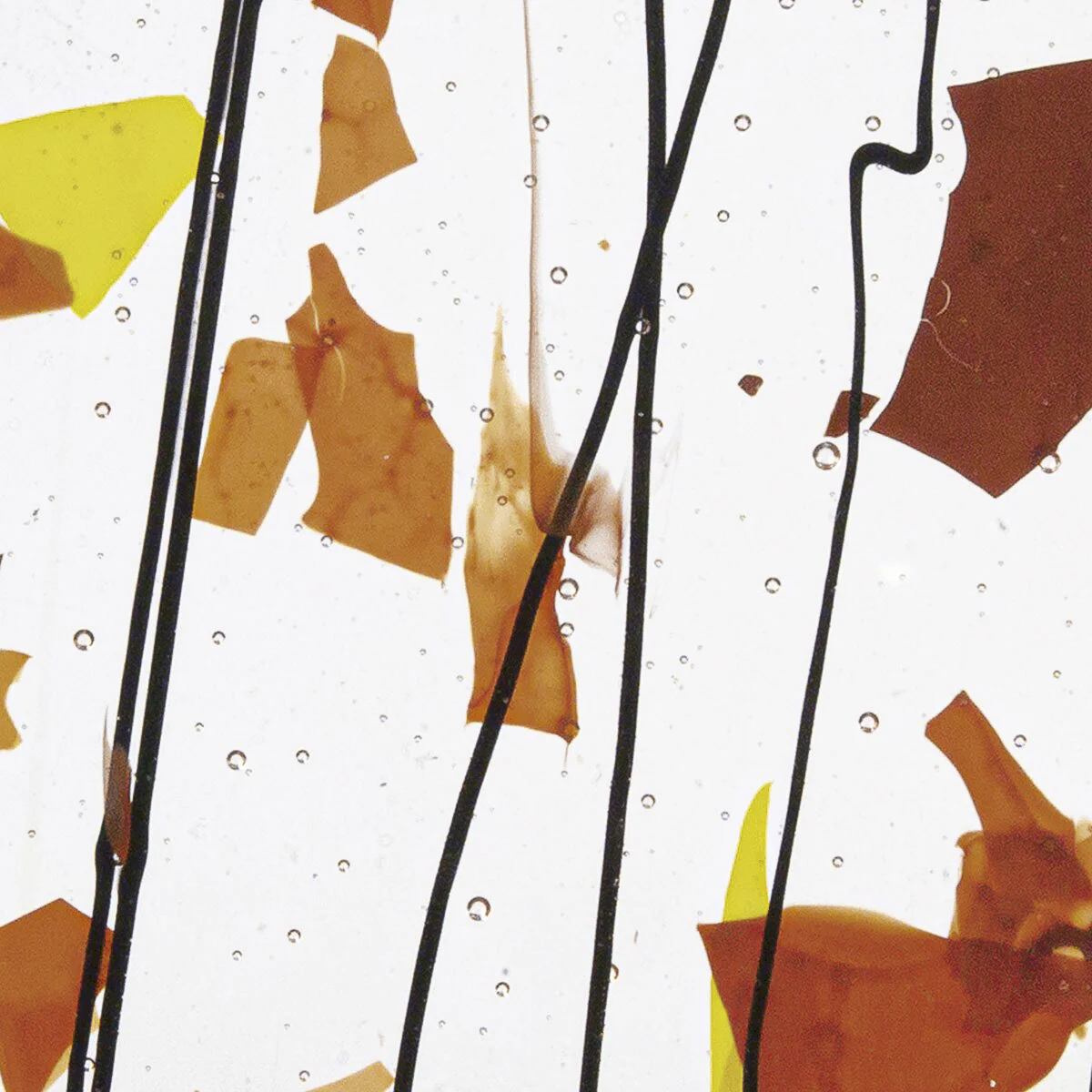 Autumn: Orange, Yellow, and Red, 3 mm - Image 2