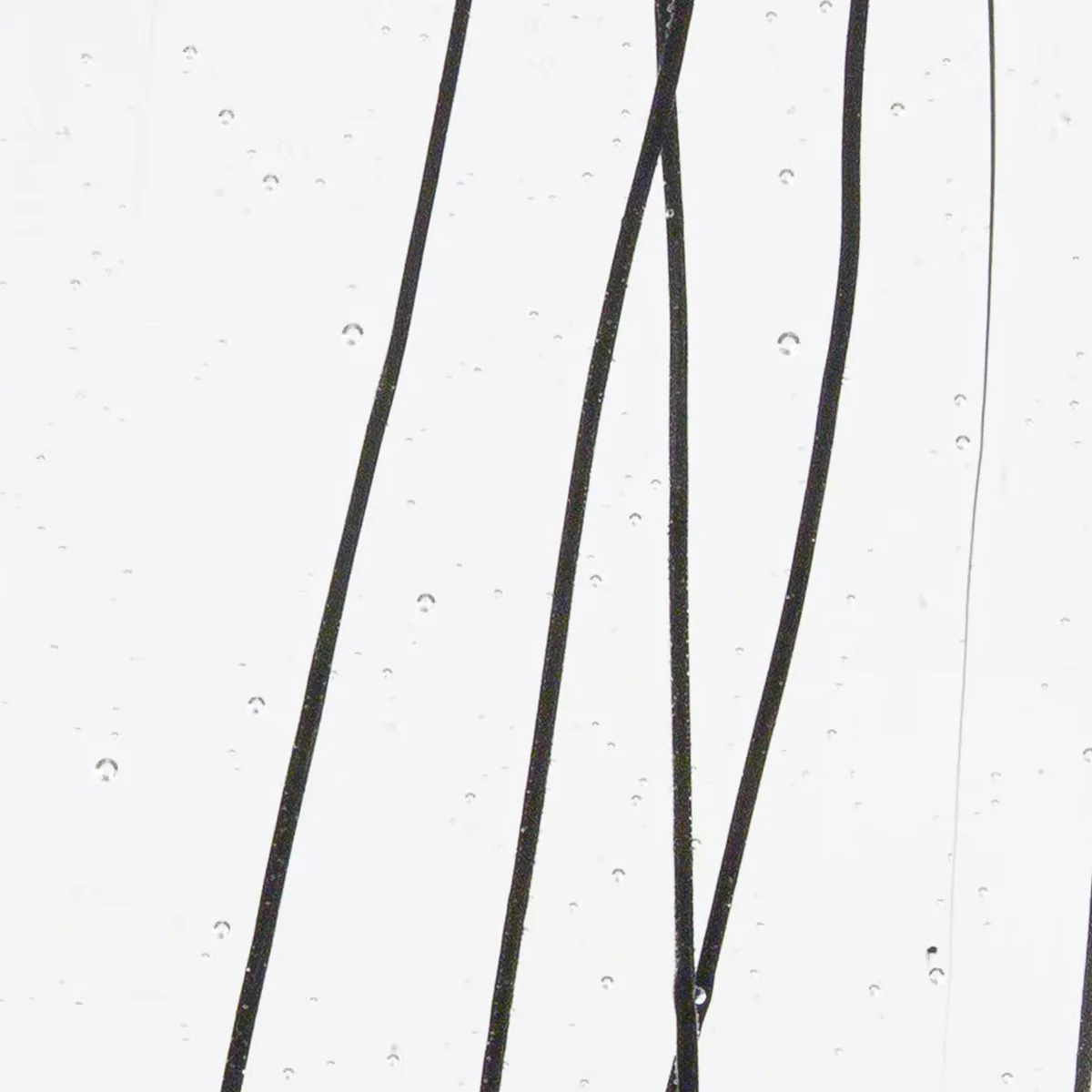 Black Streamers on Clear Base, 3mm - Image 2