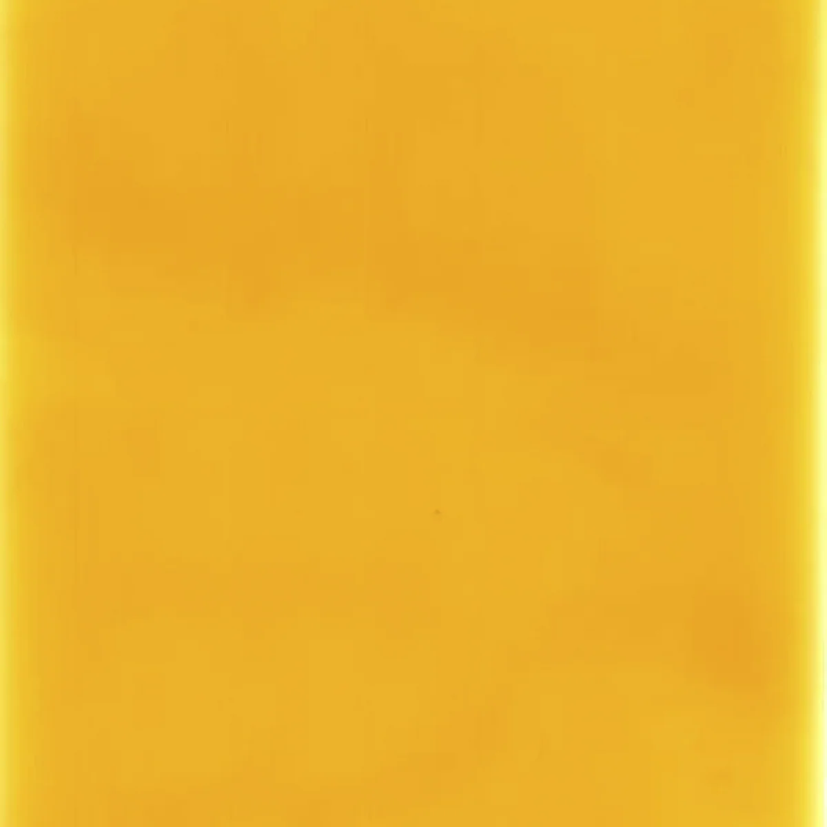Carmel Tan