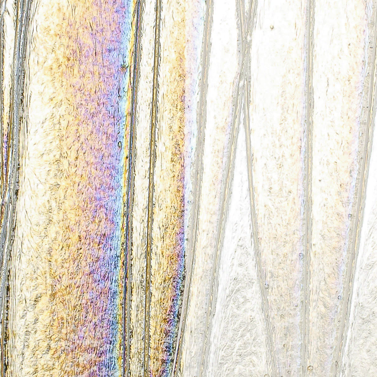 Clear with Clear Streamer Iridescent, 3 mm - Image 2