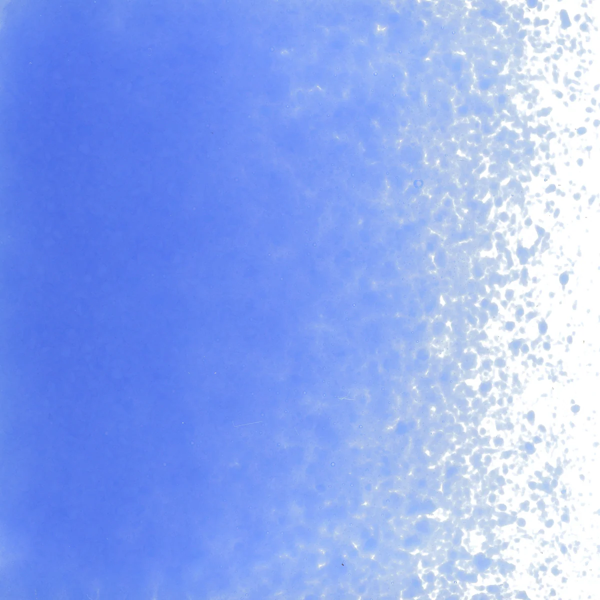 Cobalt Blue Opalescent, Fine, 1 lb. - Image 2