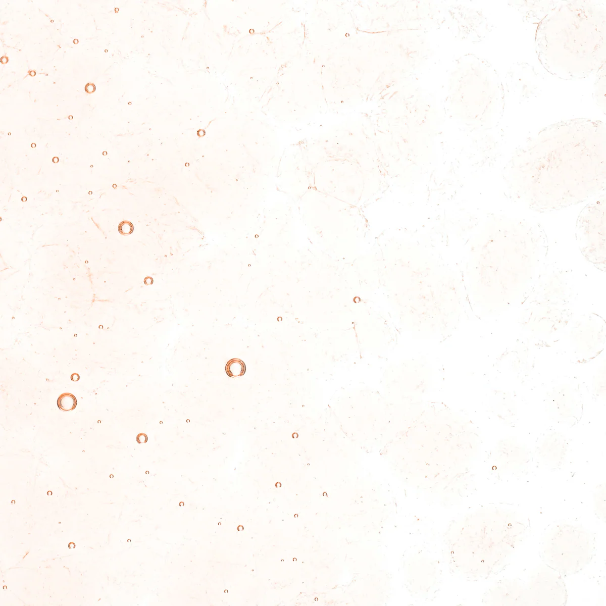 Coral Orange Tint, Coarse, 5 lb. - Image 2