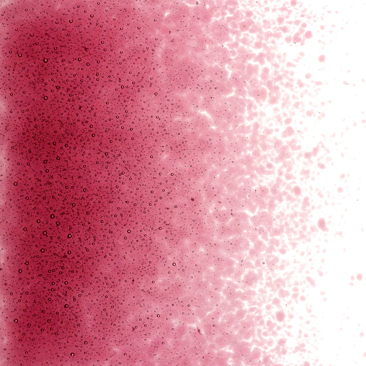 Cranberry Pink Transparent, Fine, 1 lb. - Image 2