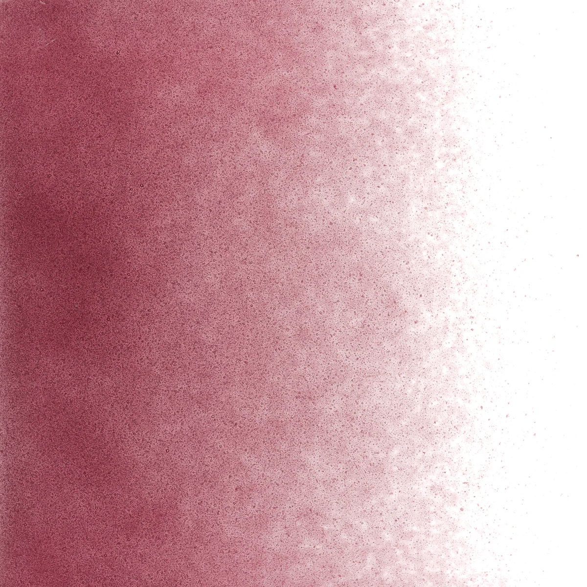 Cranberry Pink Transparent, Powder, 1 lb. - Image 2