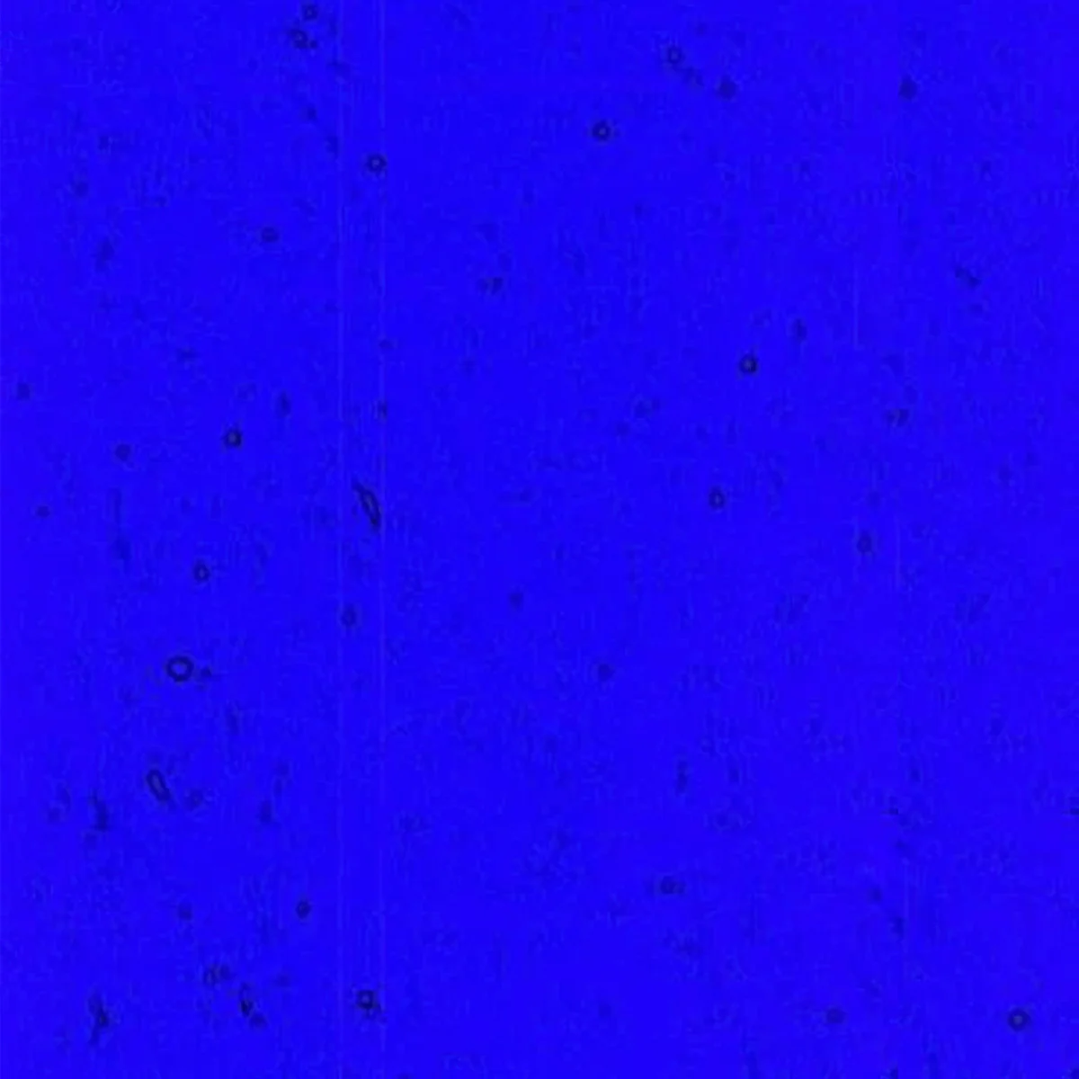 Dark Cobalt Blue