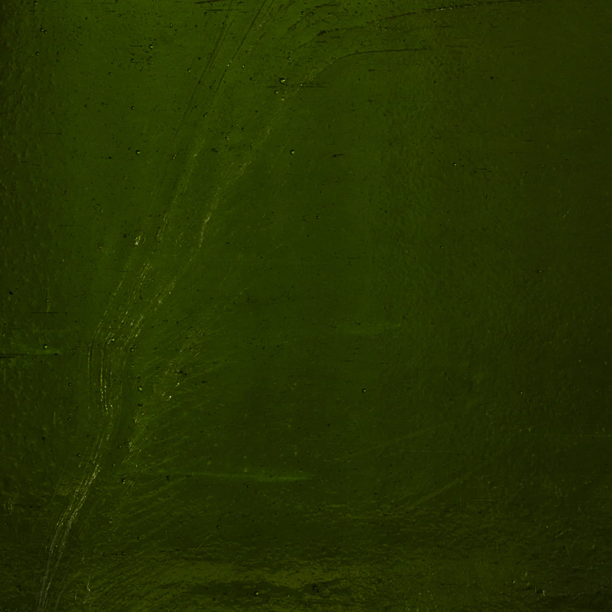 Dark Olive Green