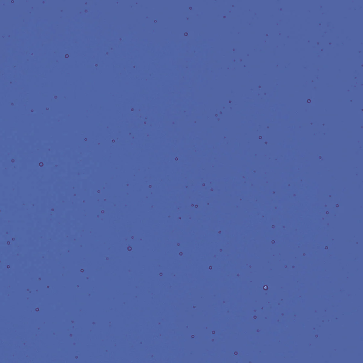 Deep Royal, 2 mm - Image 2