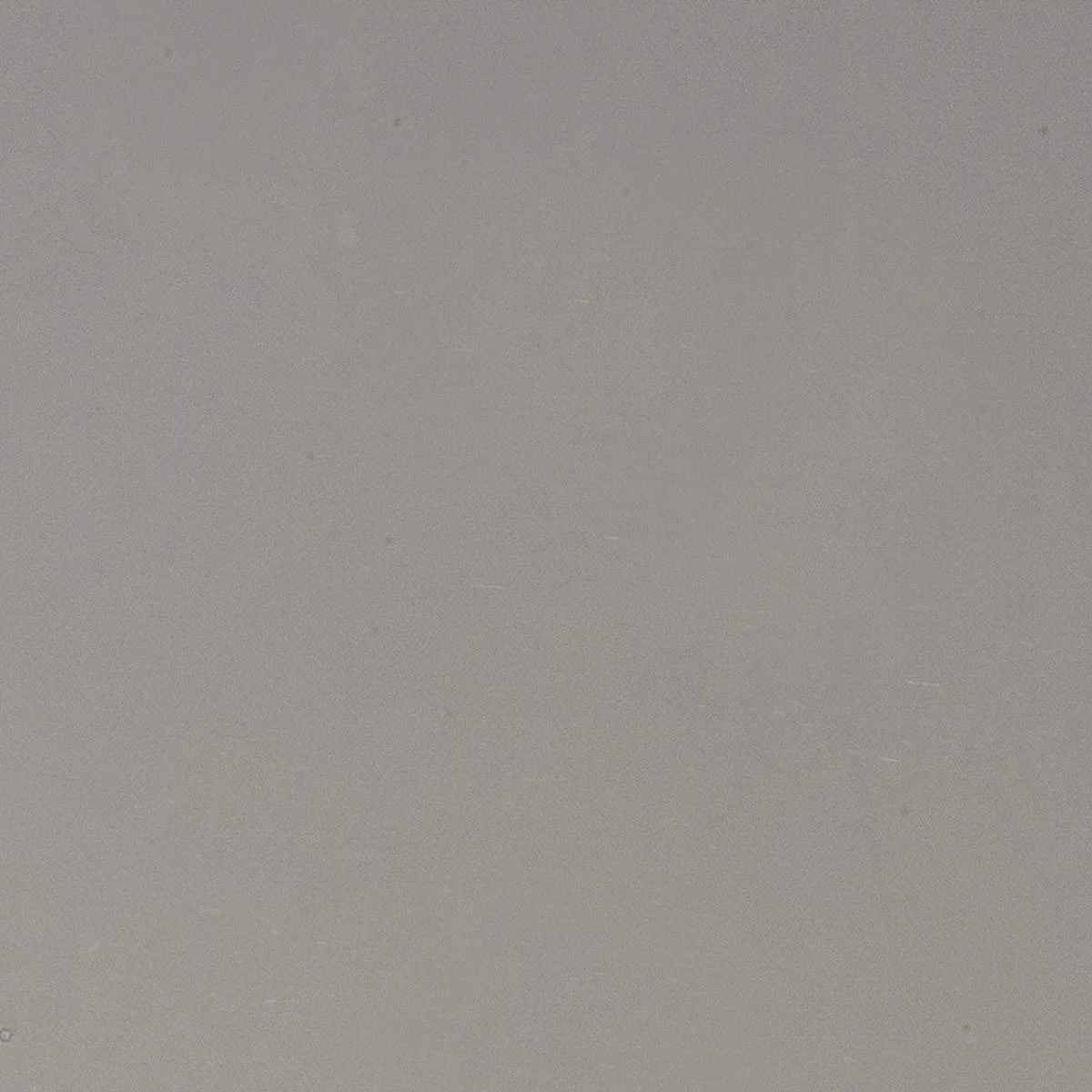 Elephant Gray, 3 mm - 10" square - Image 2