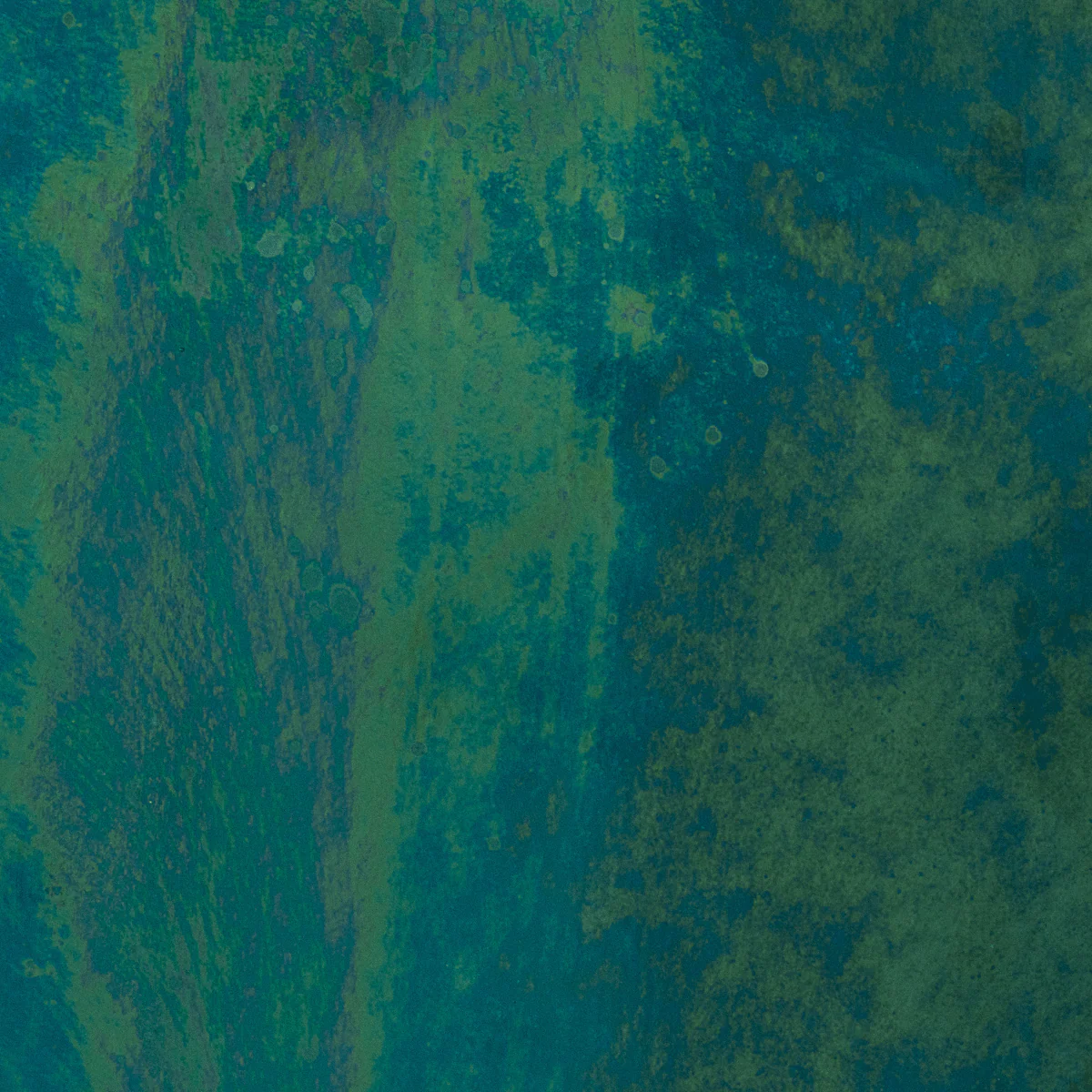 Emerald Coast Transparent Lumiscent