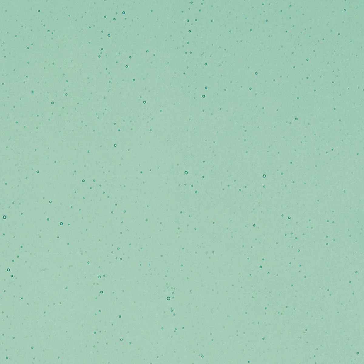 Emerald Green Transparent, 2 mm - Image 2
