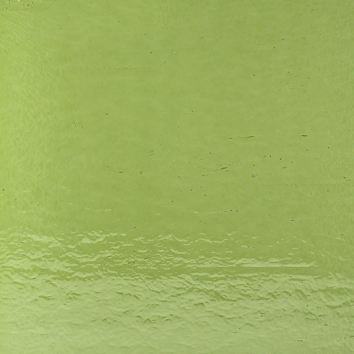 Fern Green, 3 mm - Image 2