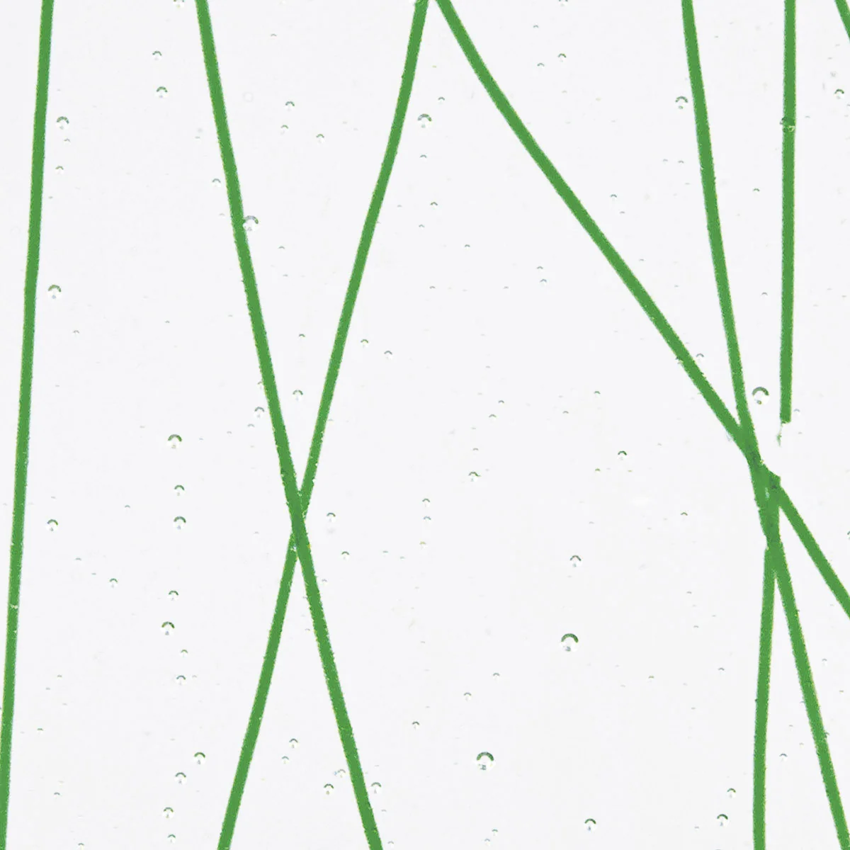 Forest Green Streamers on Clear Base, 3mm - Image 2
