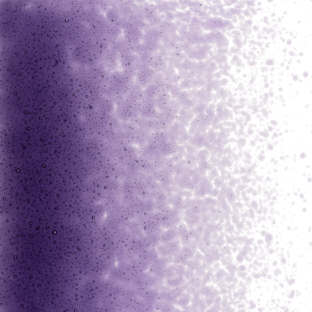 Gold Purple Transparent, Fine, 1 lb. - Image 2