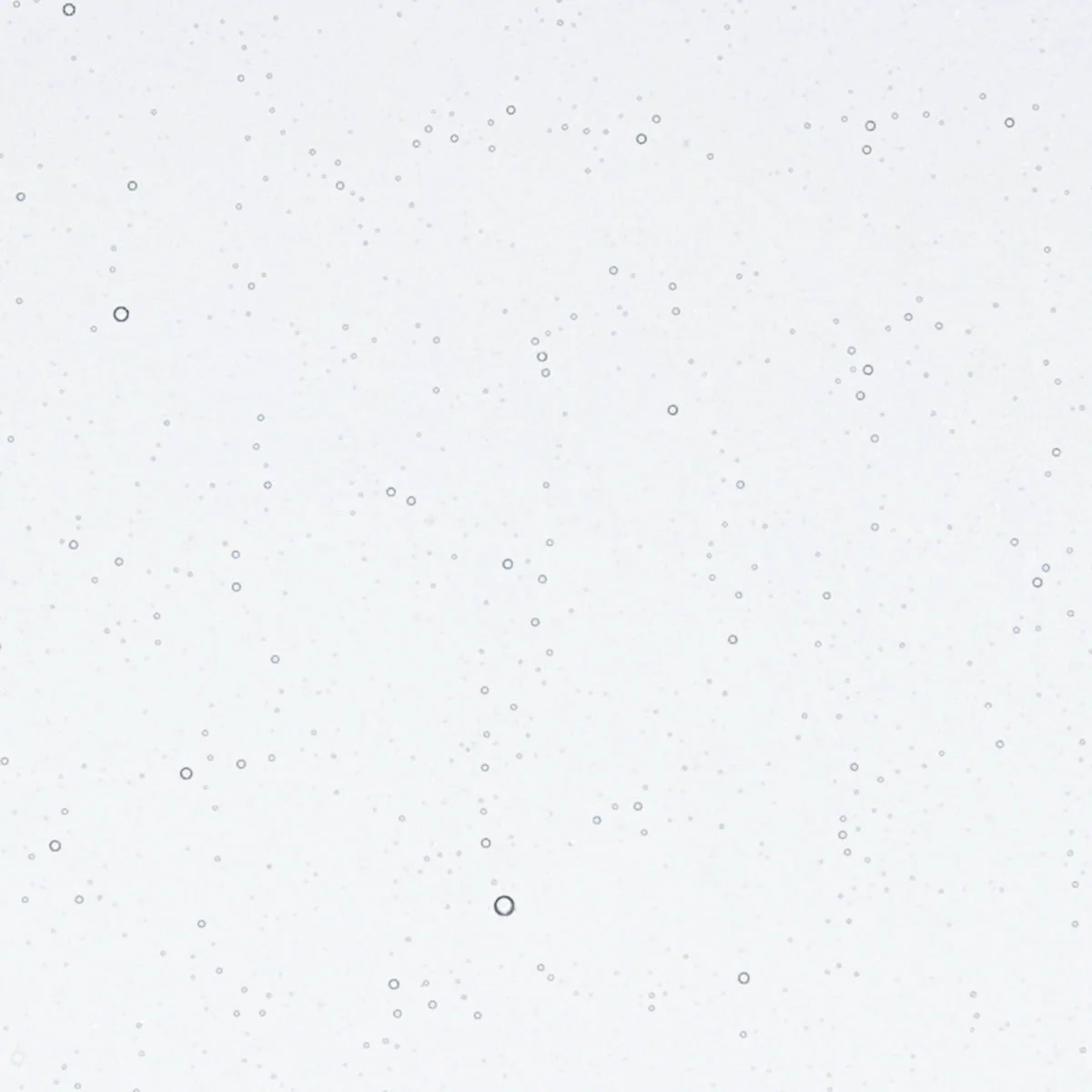 Indigo Tint, 3 mm - Image 2