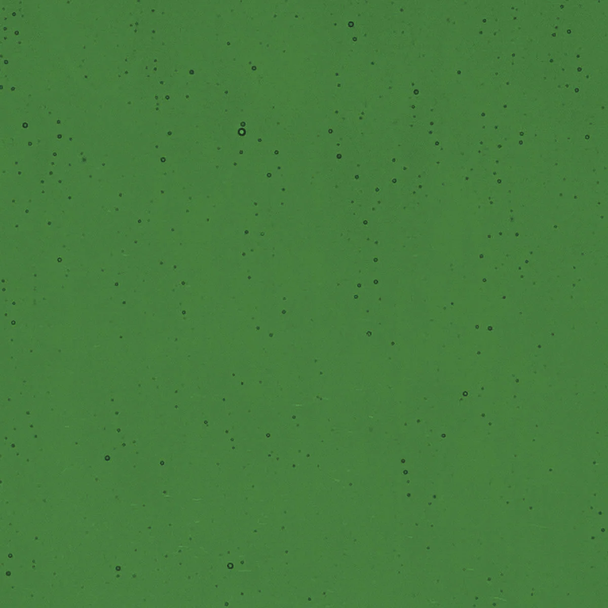Kelly Green, 2 mm - Image 2