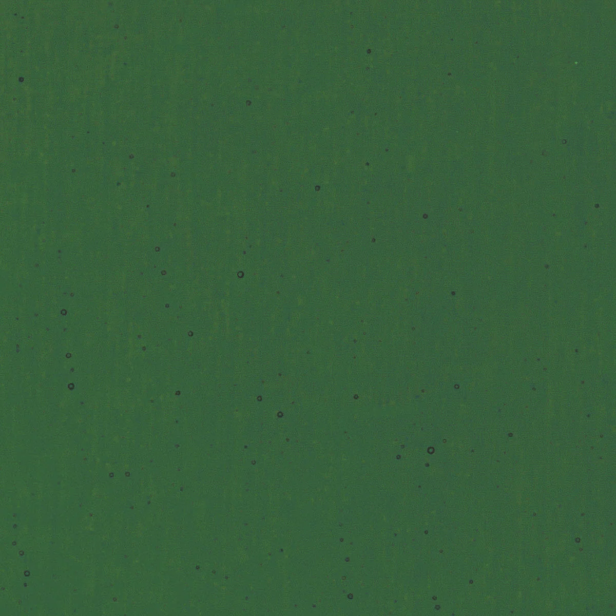 Kelly Green, 3 mm - Image 2