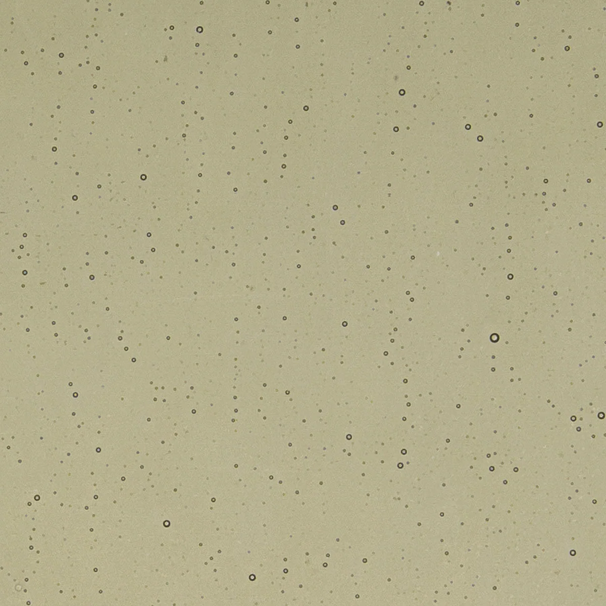Khaki, 3 mm - Image 2