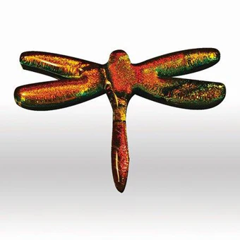 Large Dragonfly