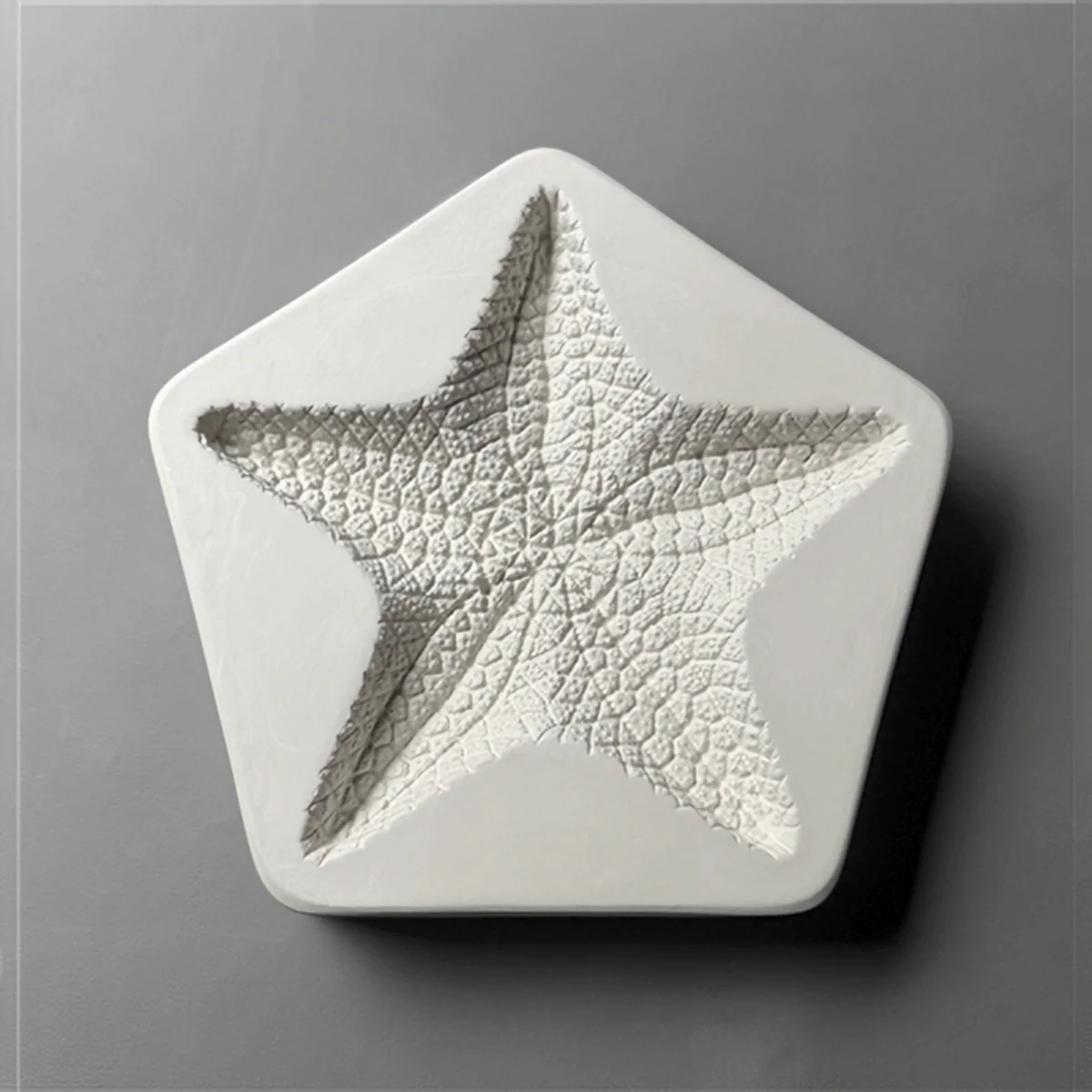 Large Starfish