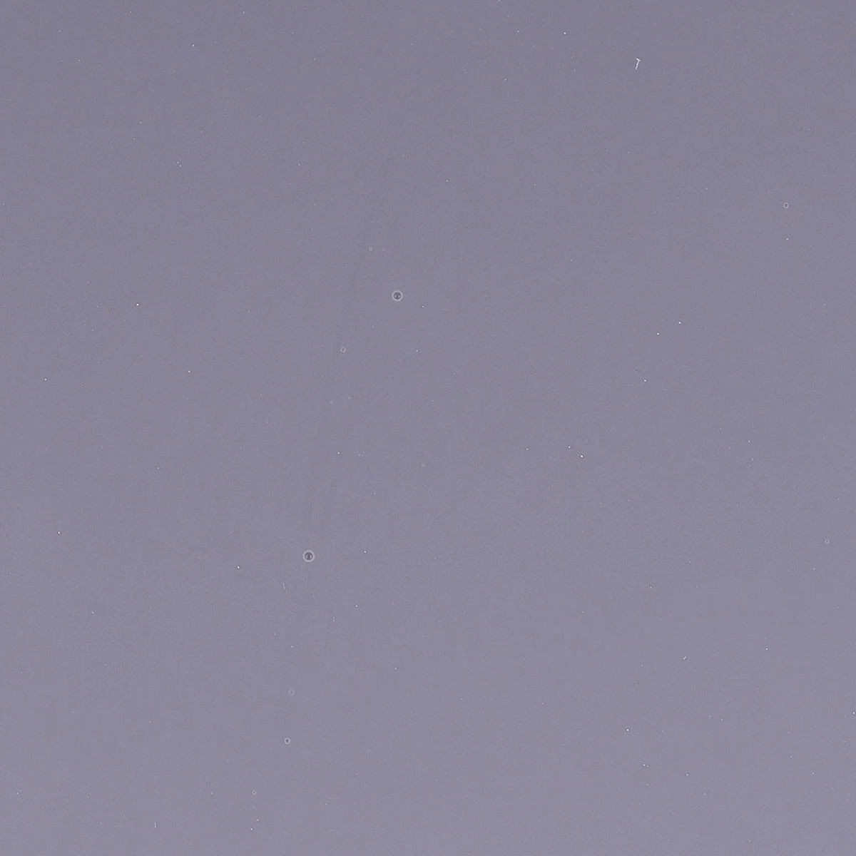 Lavender, 3 mm - Image 2