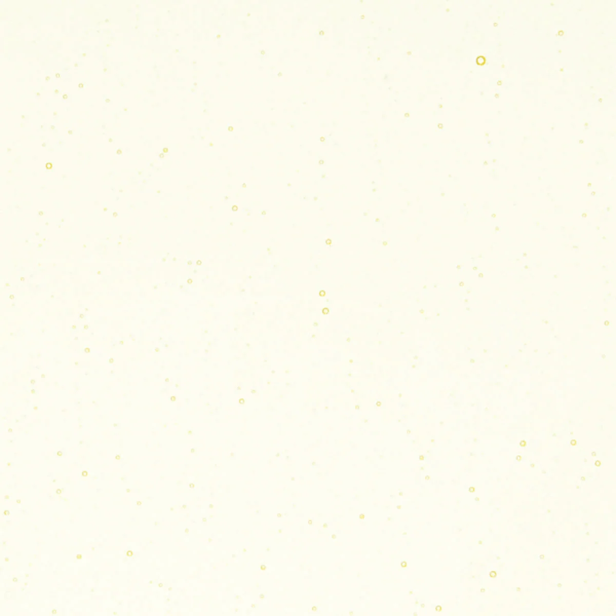 Lemon Tint, 3 mm - Image 2