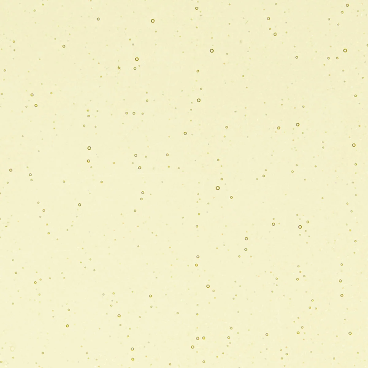 Light Amber, 2 mm - Image 2