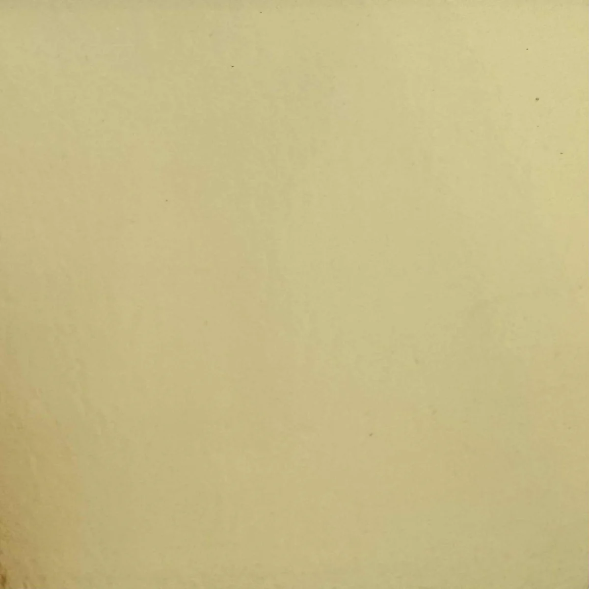 Light Medium Amber