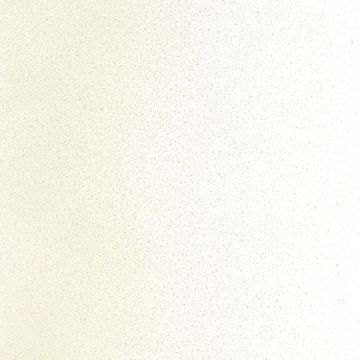 Light Amber Tint, Powder 1 lb. - Image 2