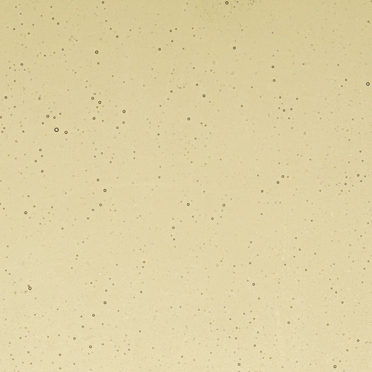 Light Bronze, 2 mm - Image 2