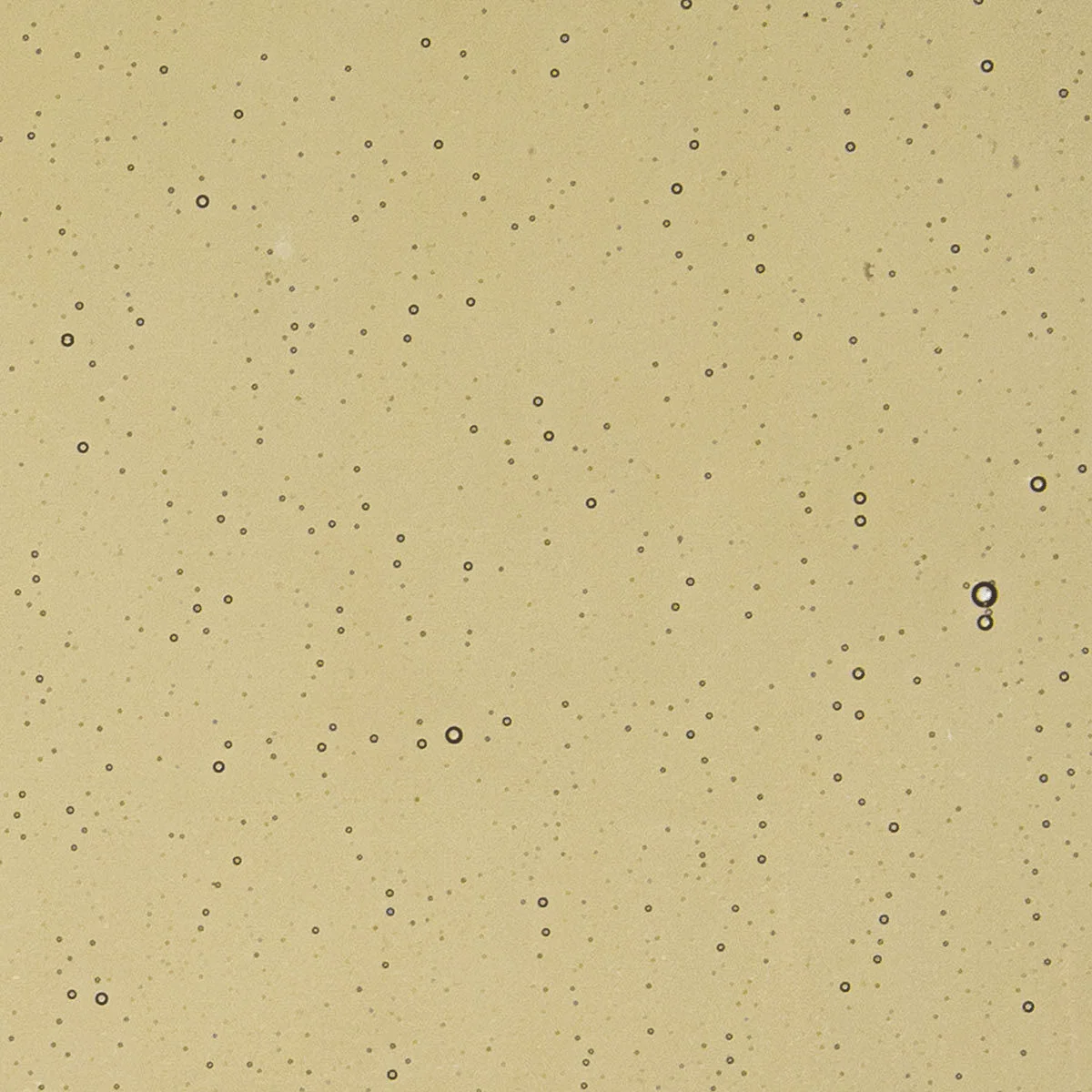 Light Bronze, 3 mm - Image 2