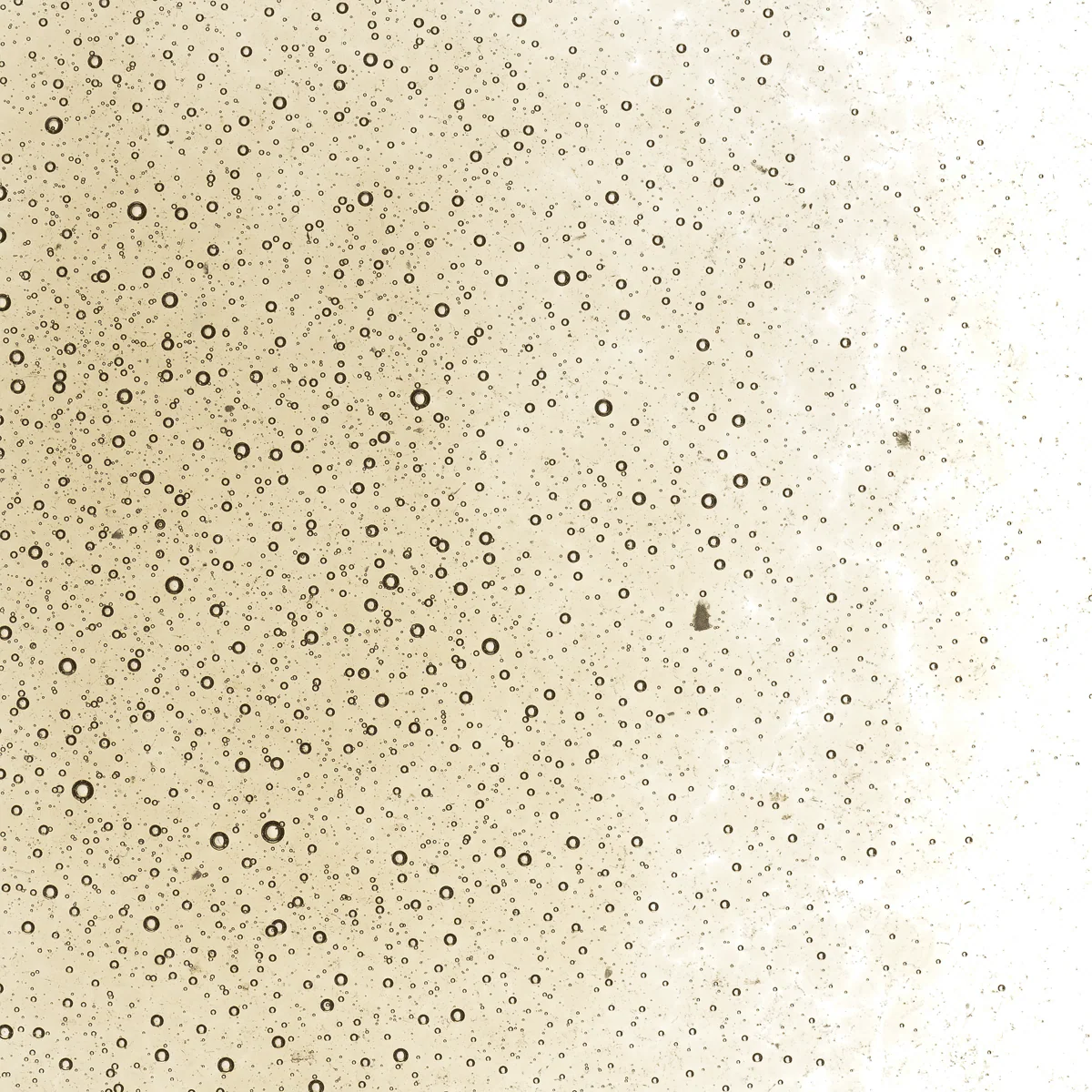 Light Bronze Transparent, Fine 1 lb. - Image 2