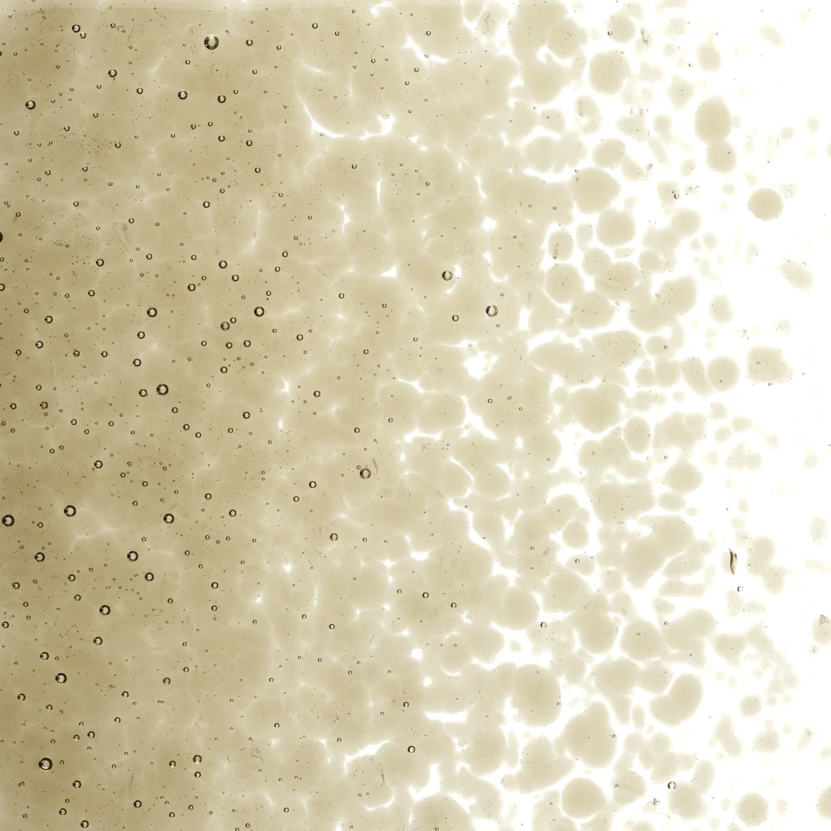 Light Bronze Transparent, Medium 1 lb. - Image 2