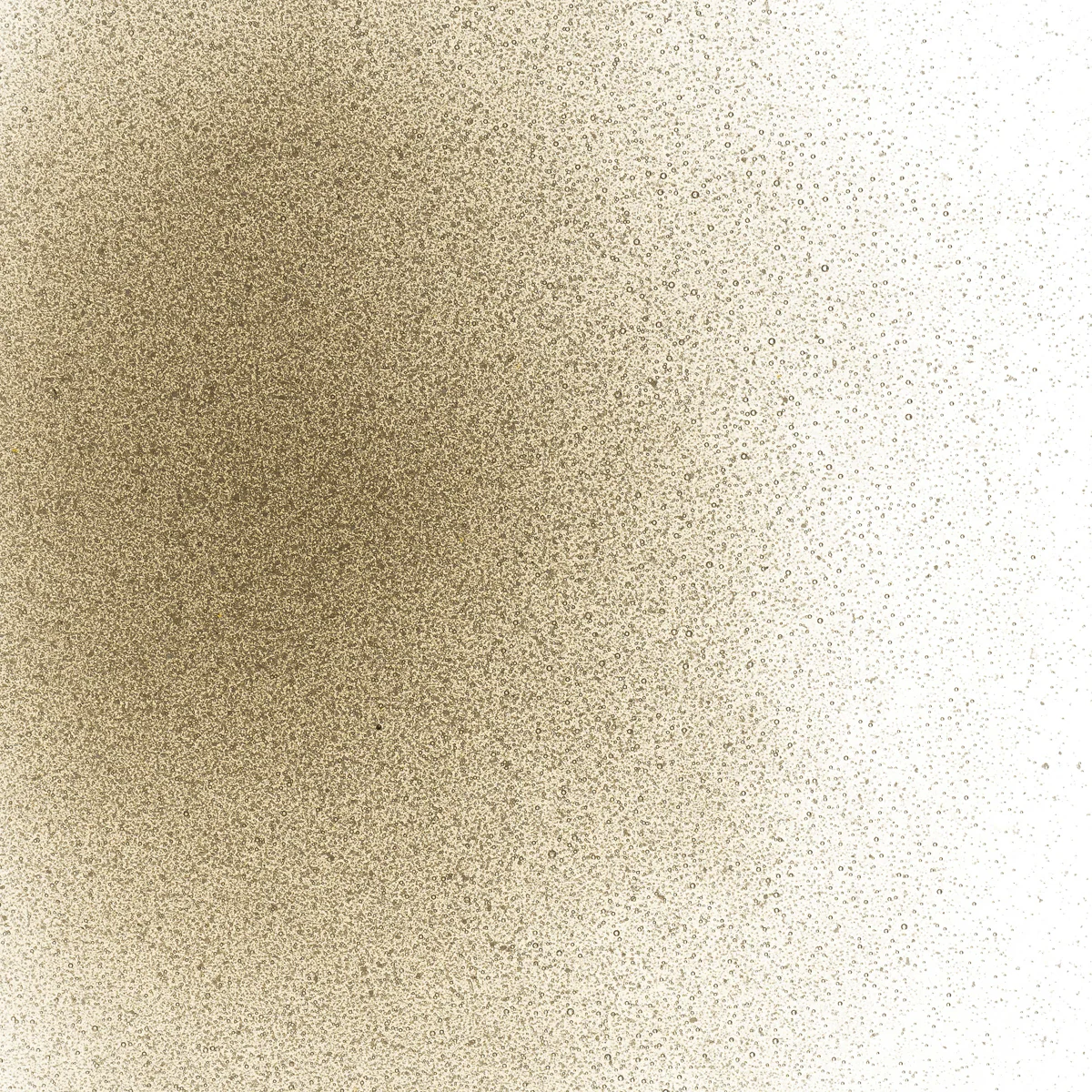 Light Bronze Transparent, Powder 1 lb. - Image 2