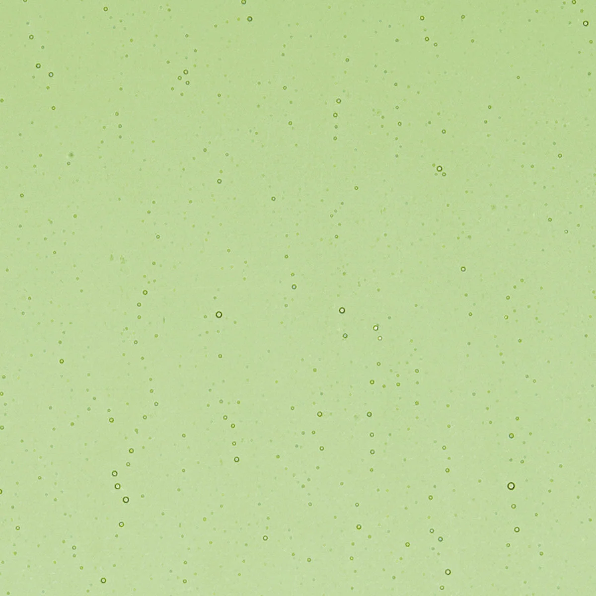 Light Green, 2 mm - Image 2