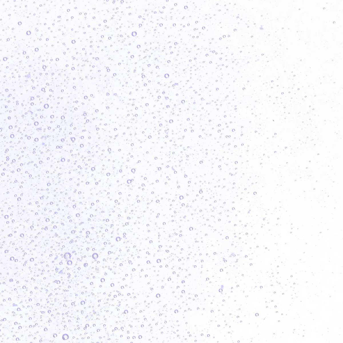 Light Neo-Lavender Shift Tint, Fine, 1 lb. - Image 2