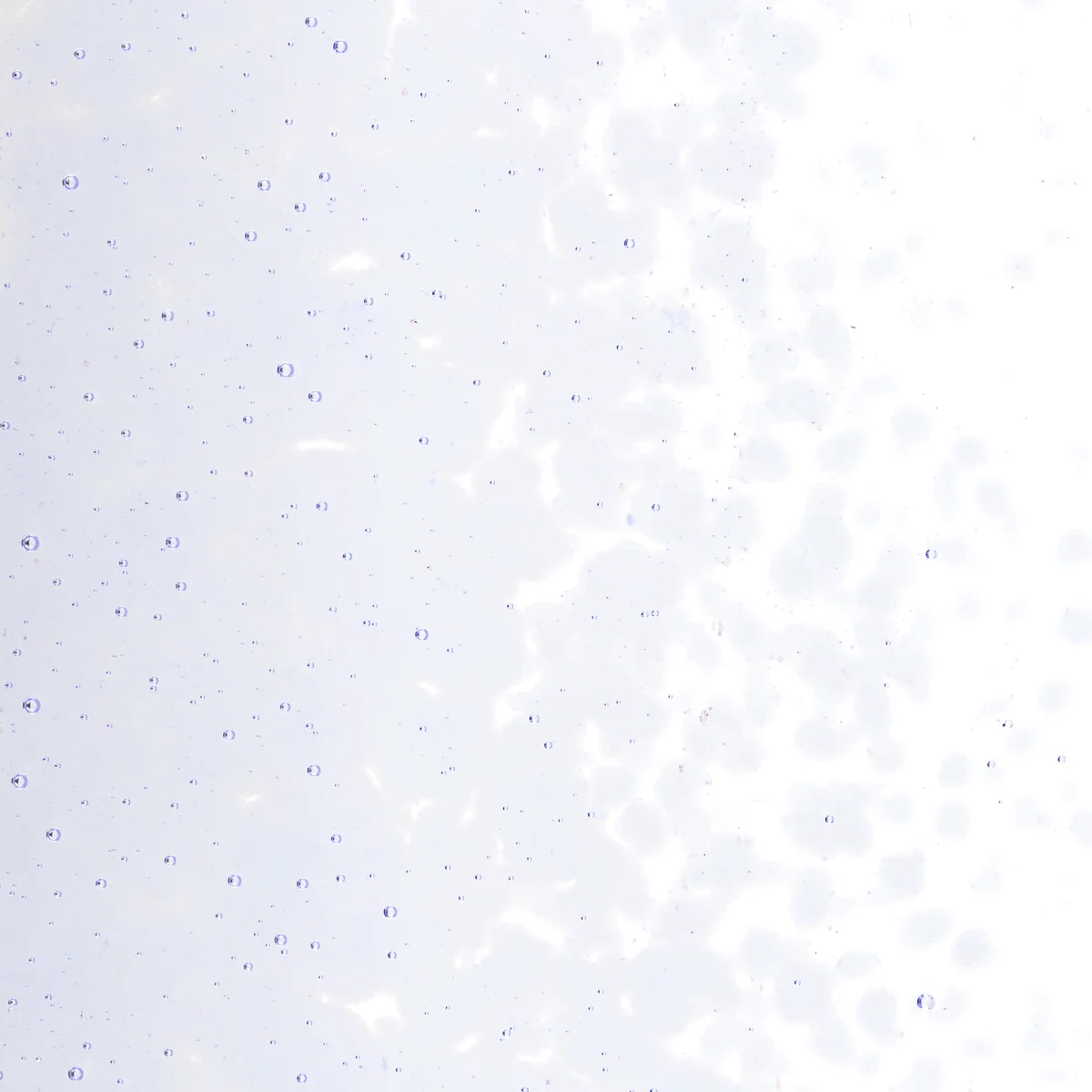 Light Neo-Lavender Shift Tint, Medium, 5 lb. - Image 2