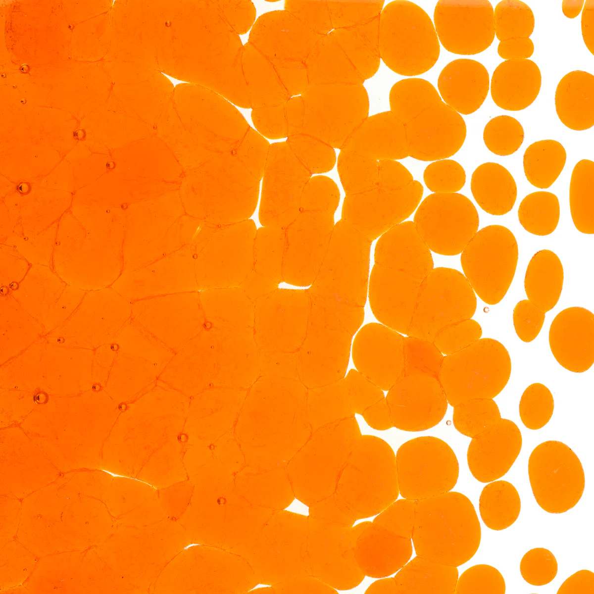 Light Orange Transparent, Coarse, 1 lb. - Image 2