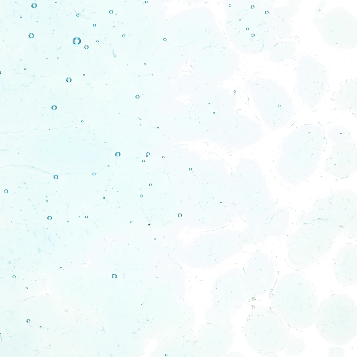 Aqua Blue Tint, Coarse, 5 lb. - Image 2