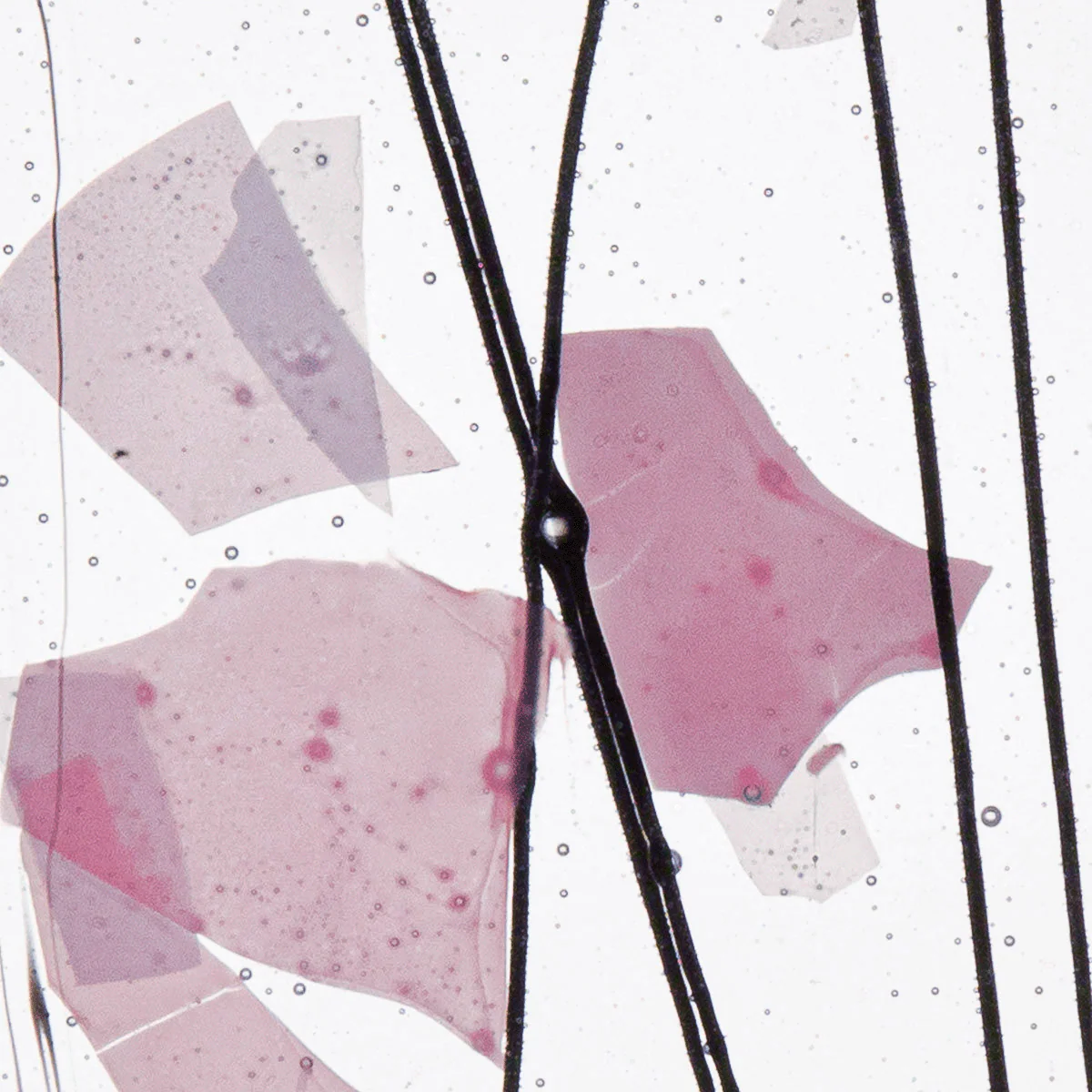 Light Pink and White, 3 mm - Image 2