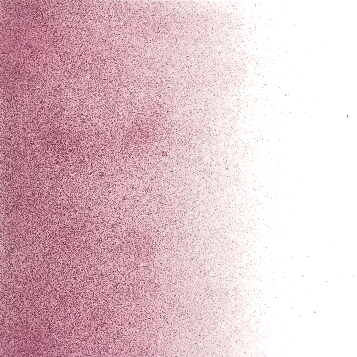 Light Pink Transparent, Powder, 1 lb. - Image 2