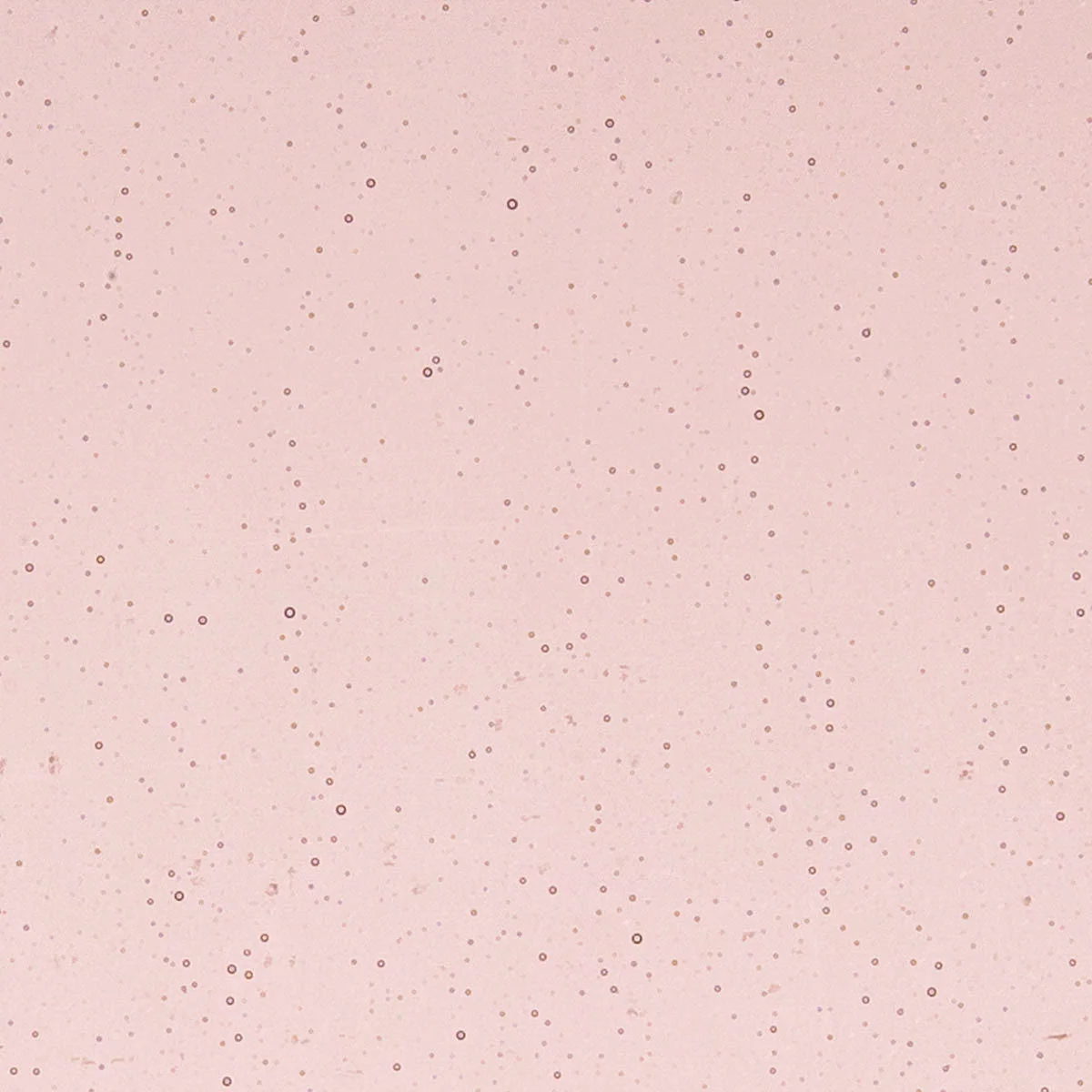 Light Plum, 2 mm - Image 2
