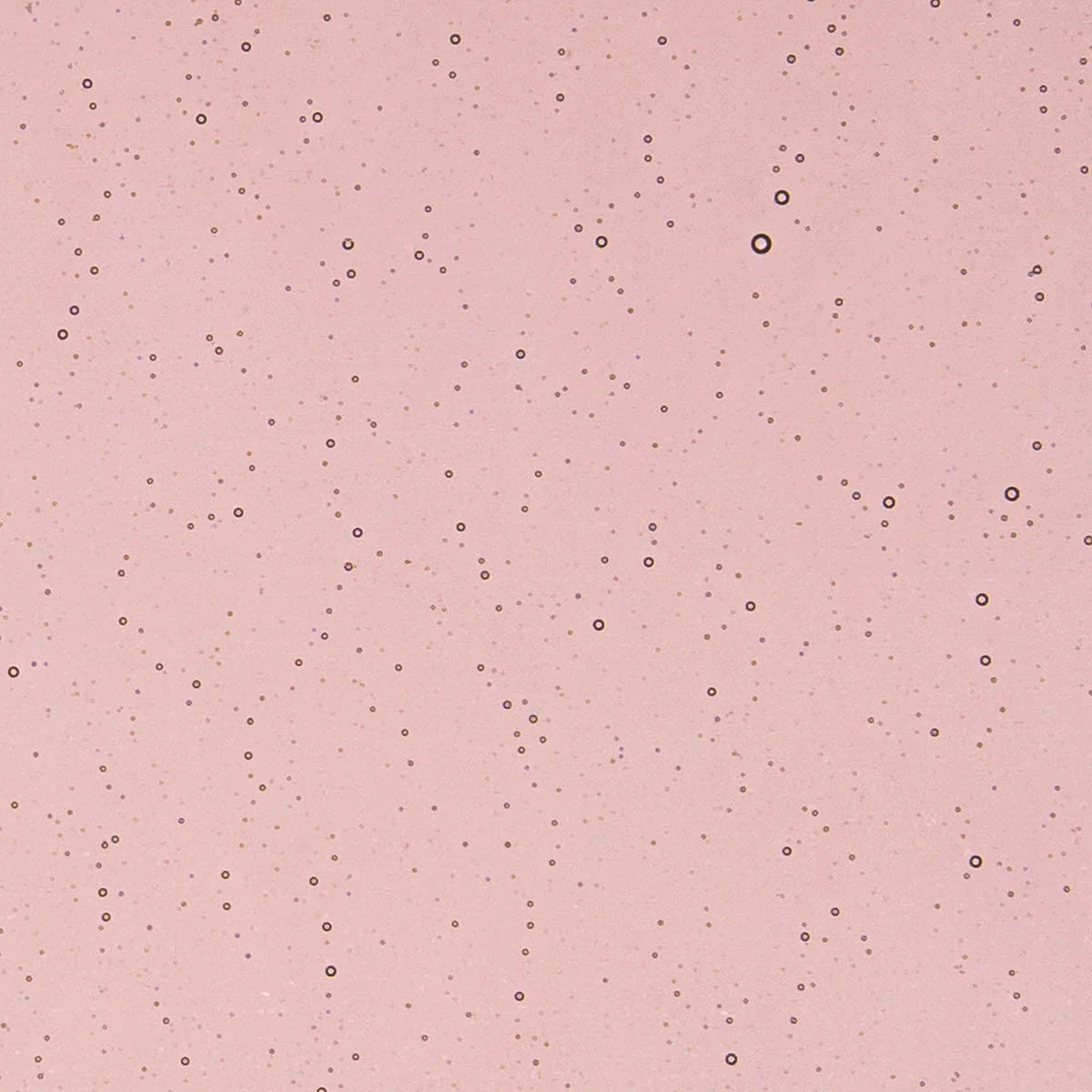 Light Plum, 3 mm - Image 2