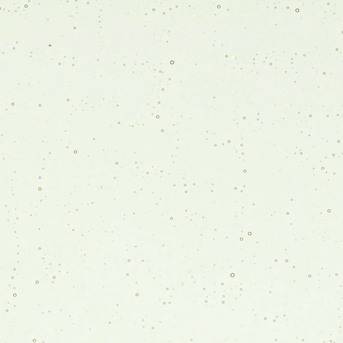Light Rhubarb Tint, 3mm - Image 2