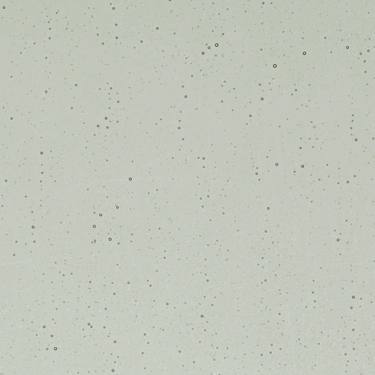 Light Silver Gray, 2 mm - Image 2
