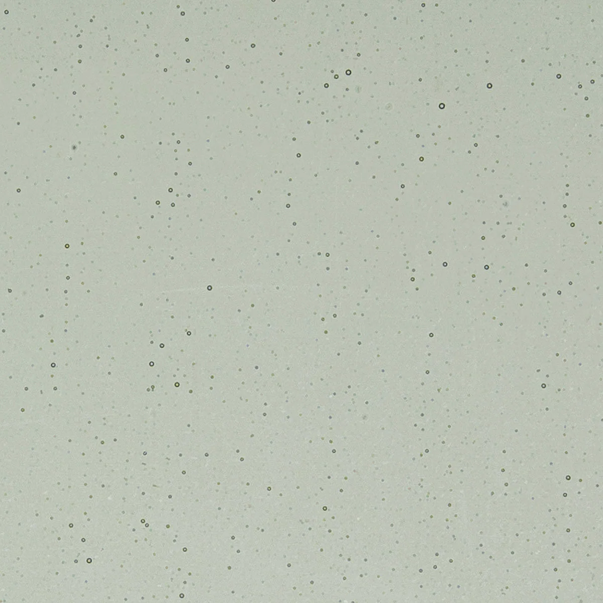 Light Silver Gray, 3 mm - Image 2