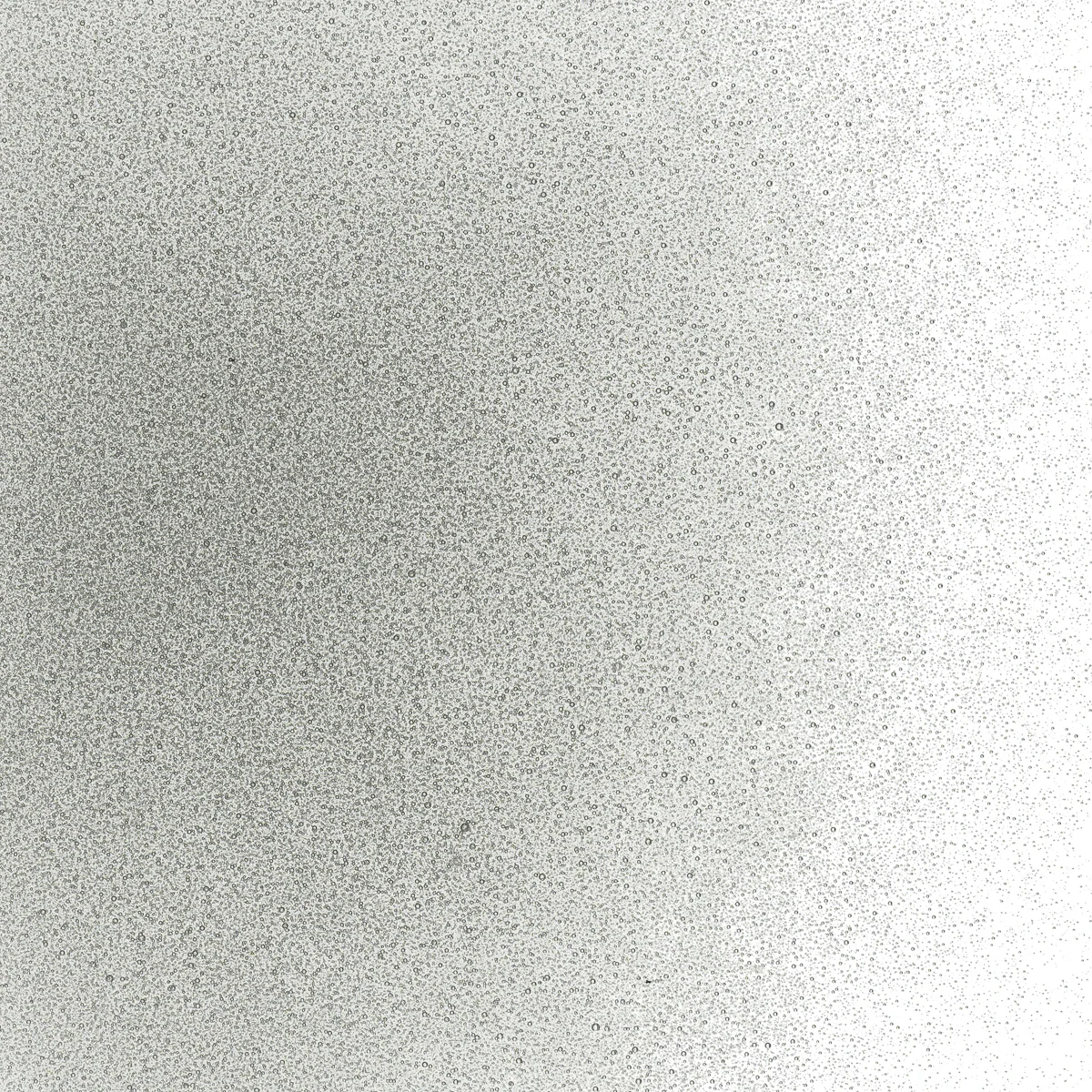 Light Silver Gray Transparent, Powder, 1 lb. - Image 2