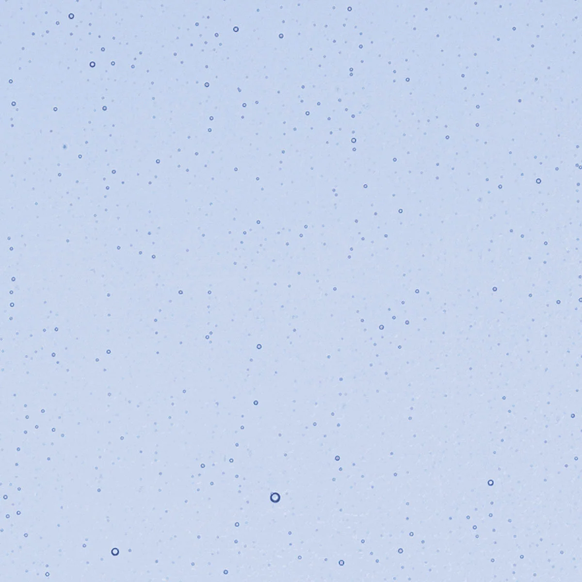 Light Sky Blue, 2 mm - Image 2