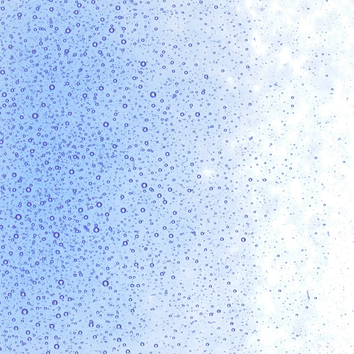 Light Sky Blue Transparent, Fine, 1 lb. - Image 2