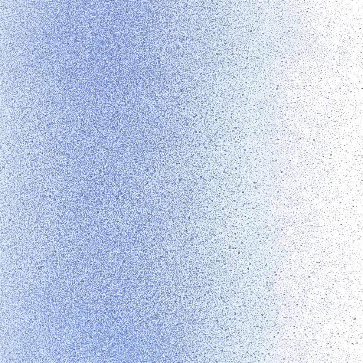 Light Sky Blue Transparent, Powder, 5 lb. - Image 2